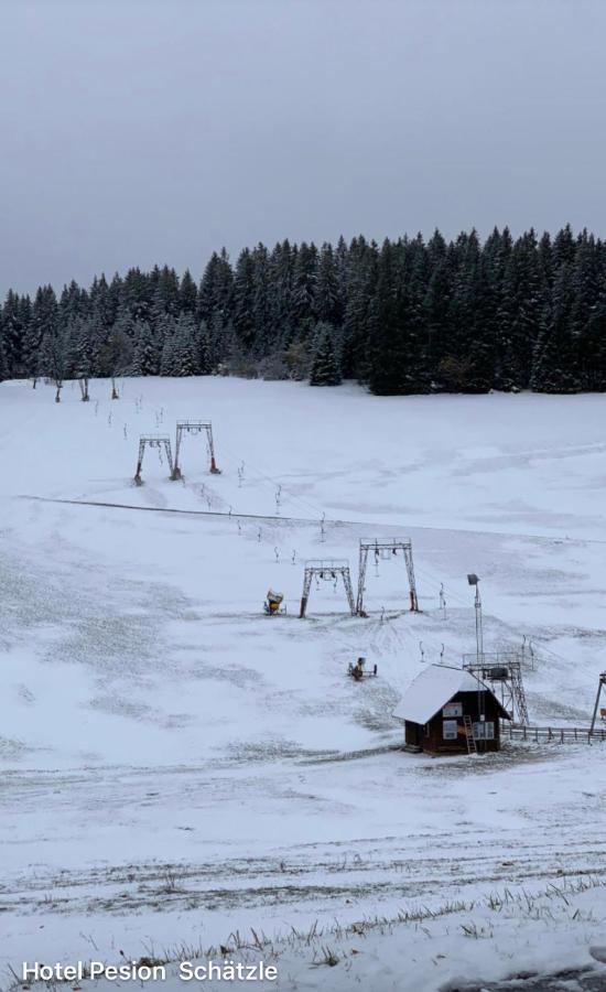 Hotel-Pension Schaetzle Schonwald  Eksteriør bilde